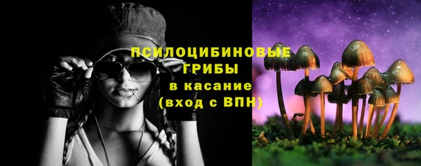 ешки Абаза