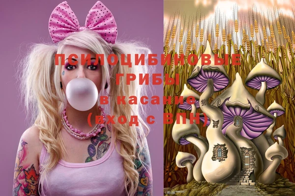 ПСИЛОЦИБИНОВЫЕ ГРИБЫ Алексин