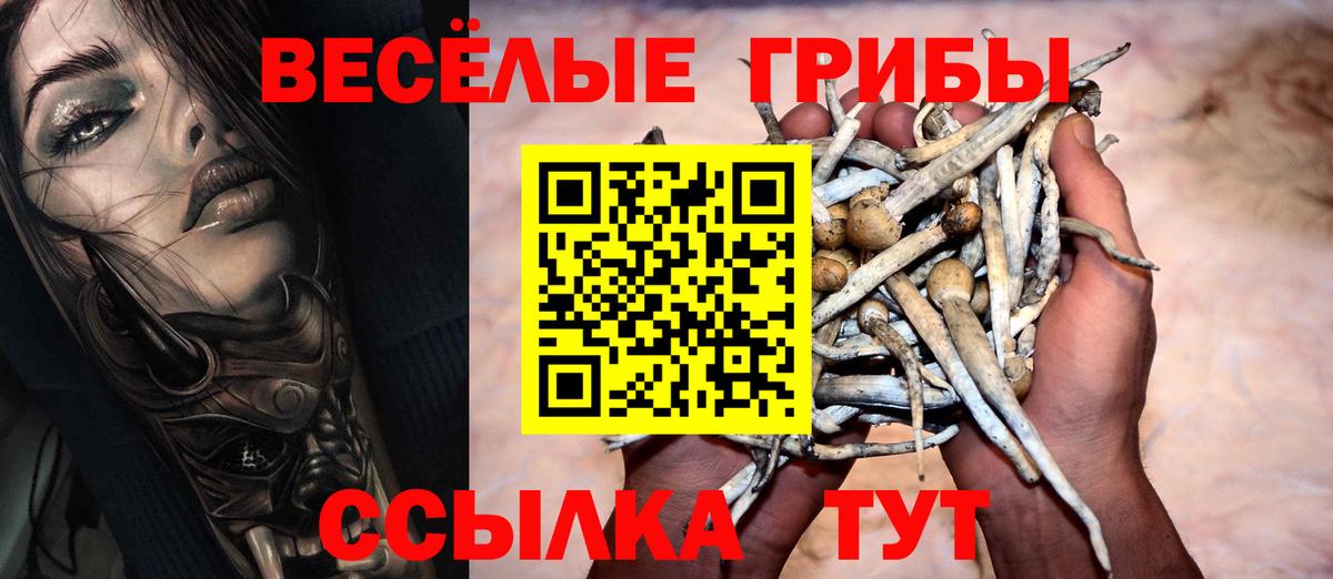 Галлюциногенные грибы Cubensis Топки